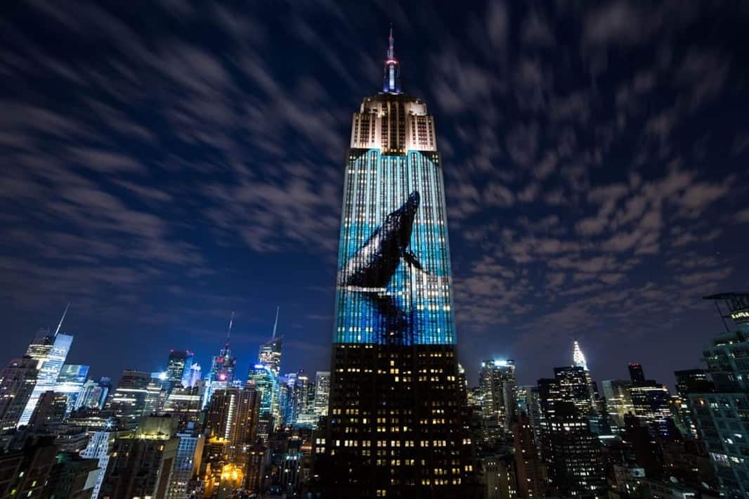 Protecting Against Lithium Batteries