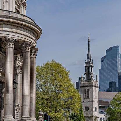 Professional Services